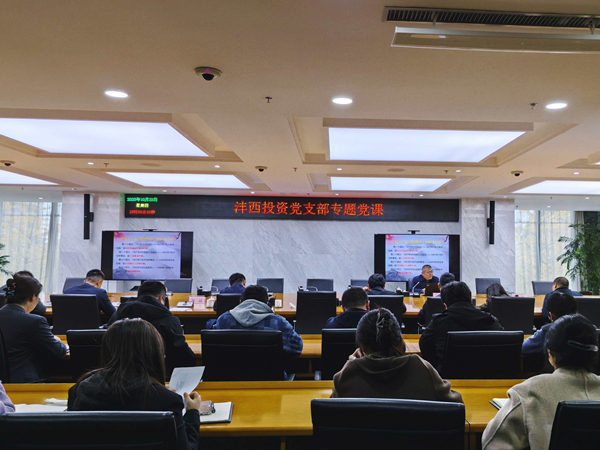 感悟初心使命 厚植家國情懷——灃西投資黨支部召開專題黨課